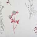 Батист тюль деворе цветы полевые, клевер, бордово-серые, белый, ш.280