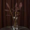 Искусственная веточка 63см с ажурными блестящими листьями коричневая